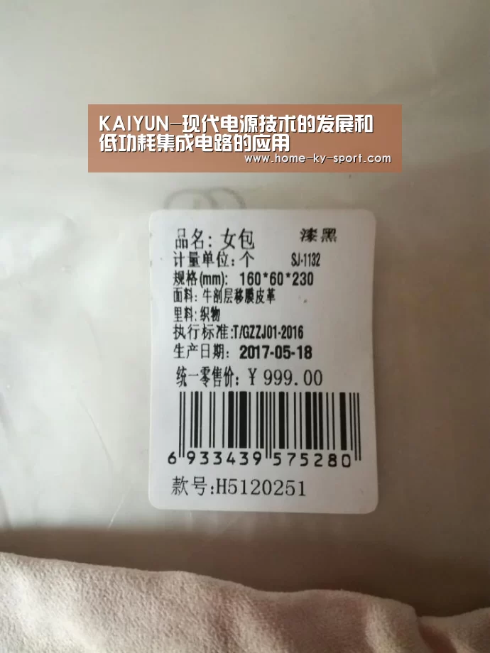 KAIYUN-现代电源技术的发展和低功耗集成电路的应用(图2) 开云